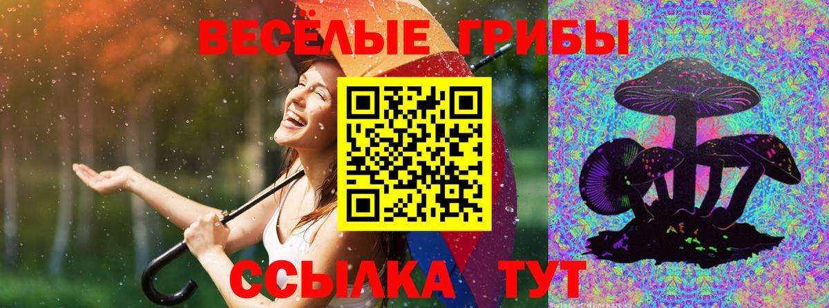 Галлюциногенные грибы Psilocybe Батайск