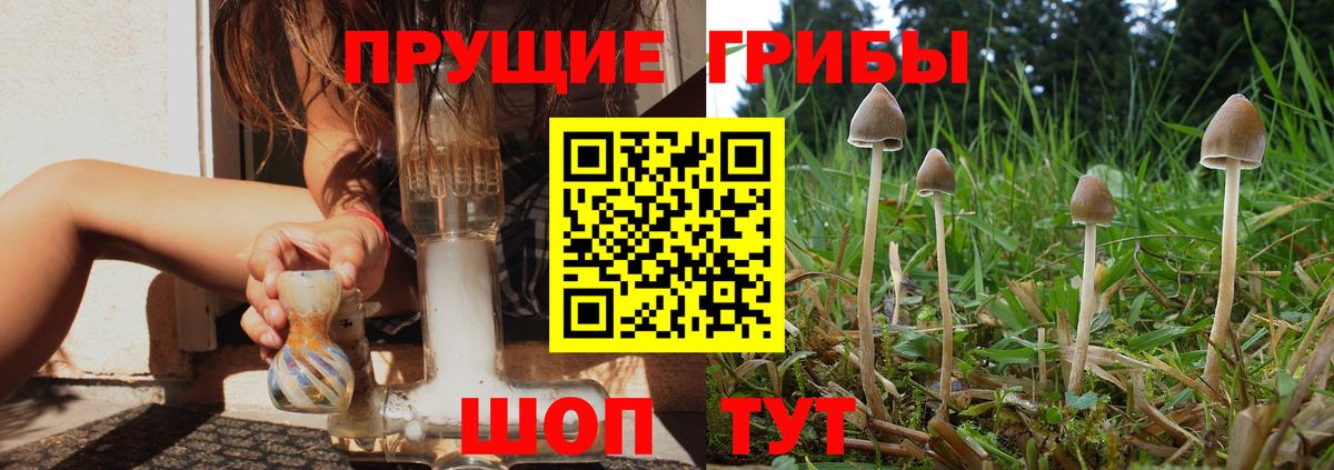 Батайск  Галлюциногенные грибы Psilocybine cubensis  Вход с VPN 